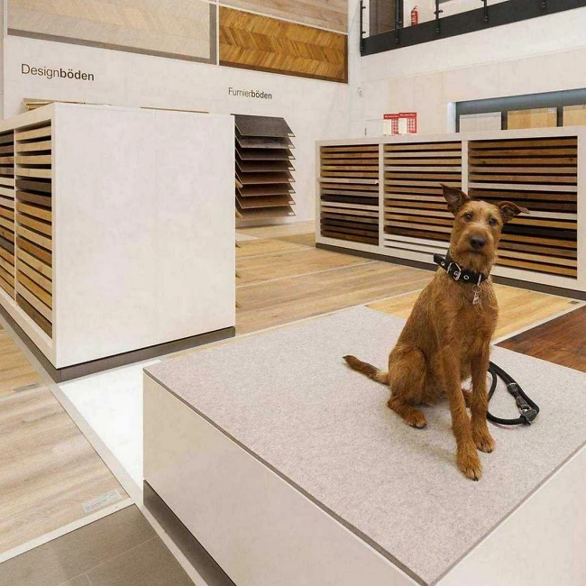 Fußboden Hund