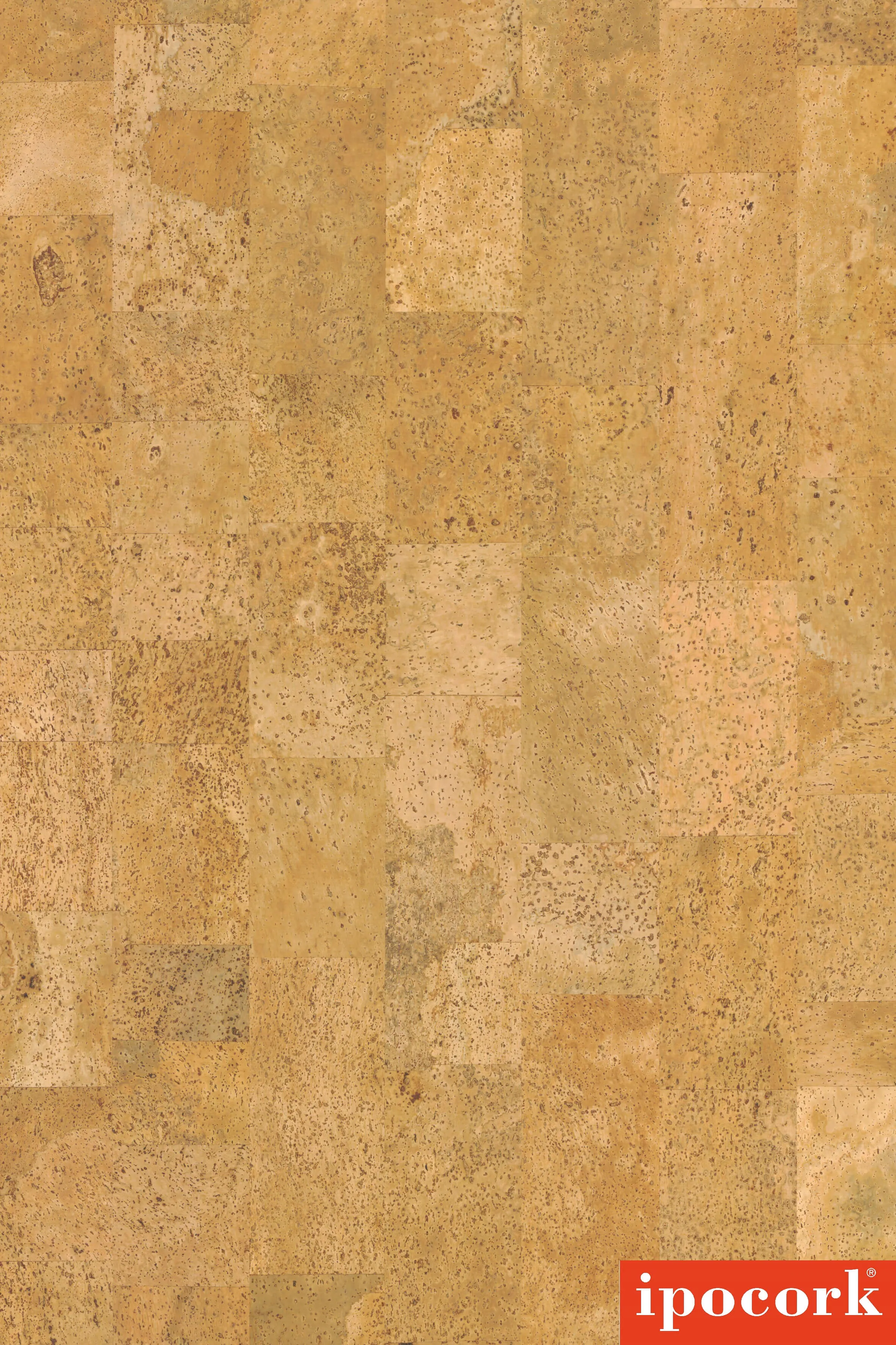 \\IKS-3450982346\Artikelbilder\Amorim\GO4CORK DESIRE.jpg