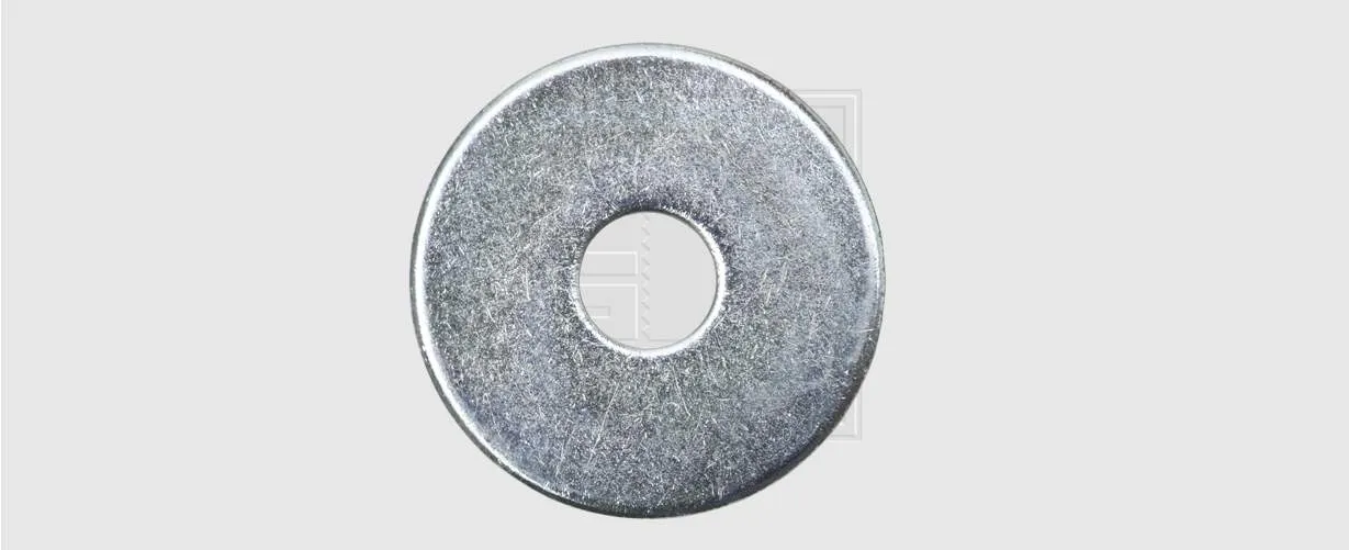 SWG-Kotfl&uuml;gelscheiben VZ 10 X 30