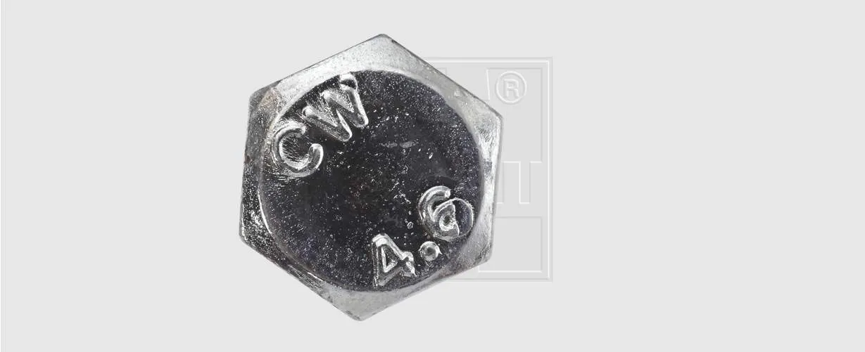 Maschinenschr. VZ m.Mu. 12x260