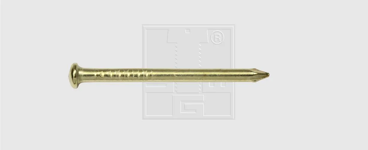 SWG-Rundkopfstift verm. 2,0 X 30