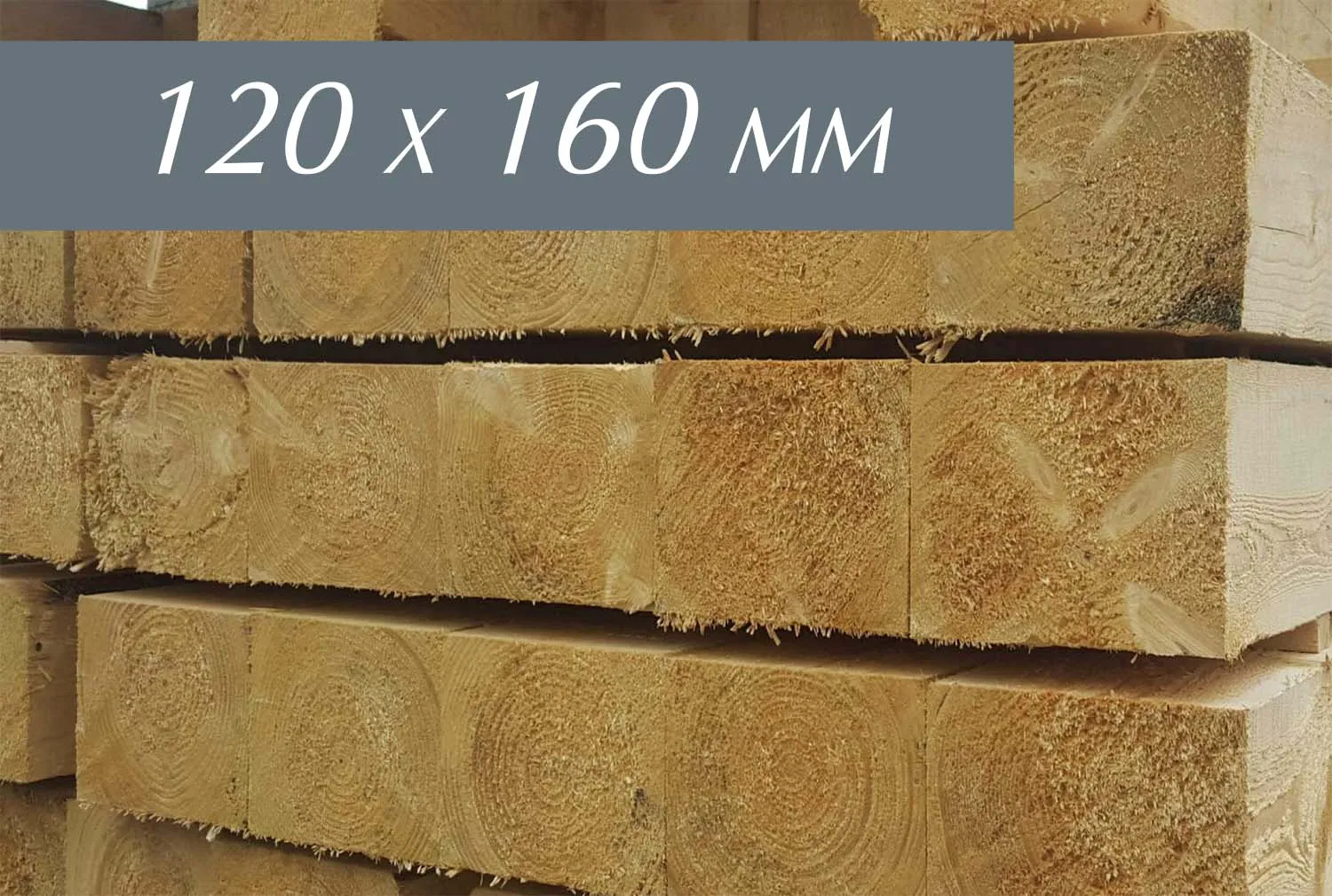 \\IKS-3450982346\Artikelbilder\bauschnittholzer\12x16 (3).jpg