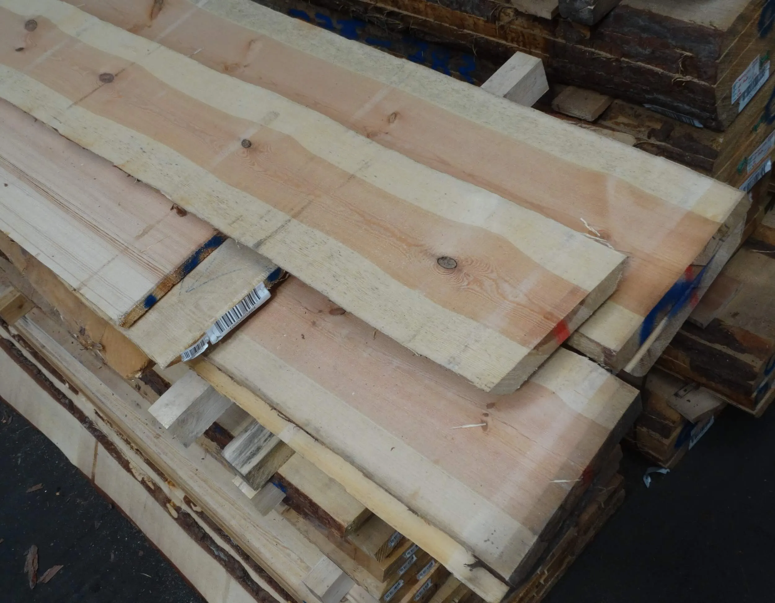 Stammkiefer deutsch KD 52 mm