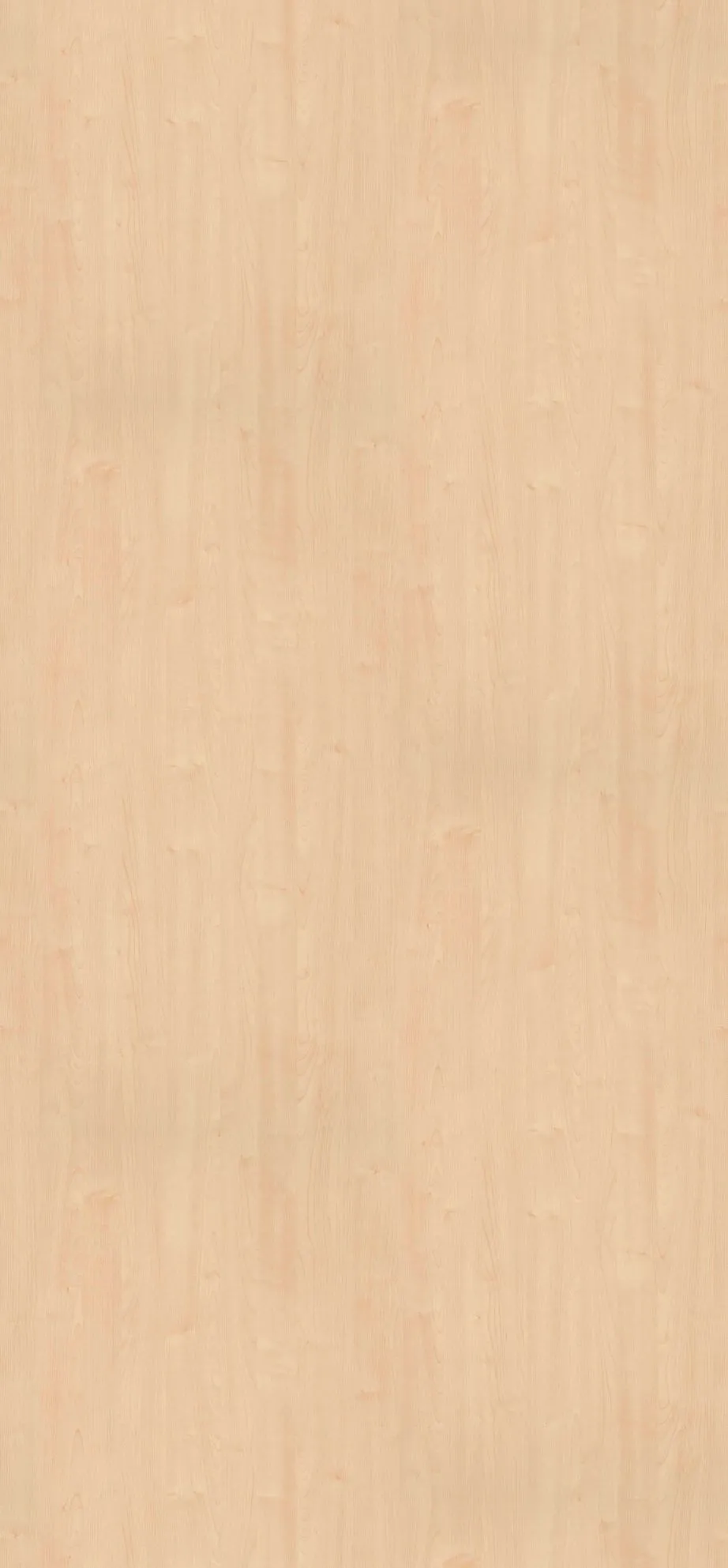 EGGER Dekorspan P2,E1E05  25mm H1887ST9