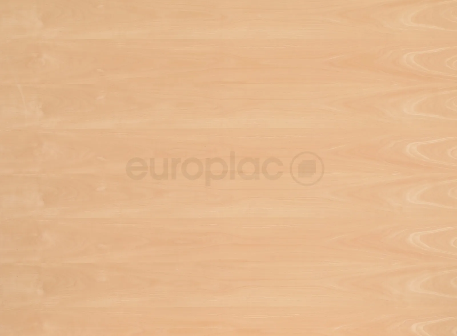 \\IKS-3450982346\Artikelbilder\Europlac\Buche gedämpft BUC1(441).jpg