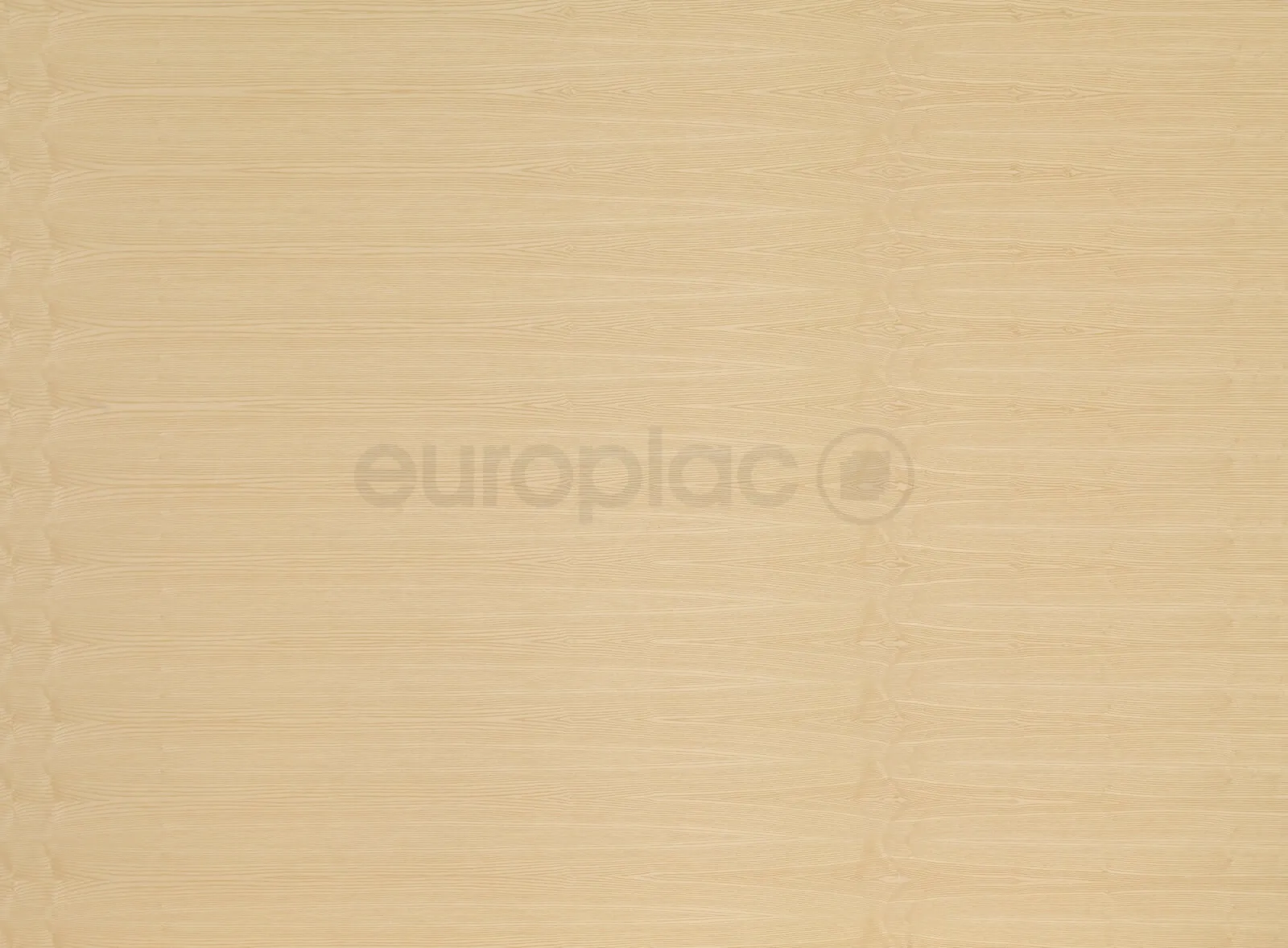 \\IKS-3450982346\Artikelbilder\Europlac\Esche ESC1 (421).jpg