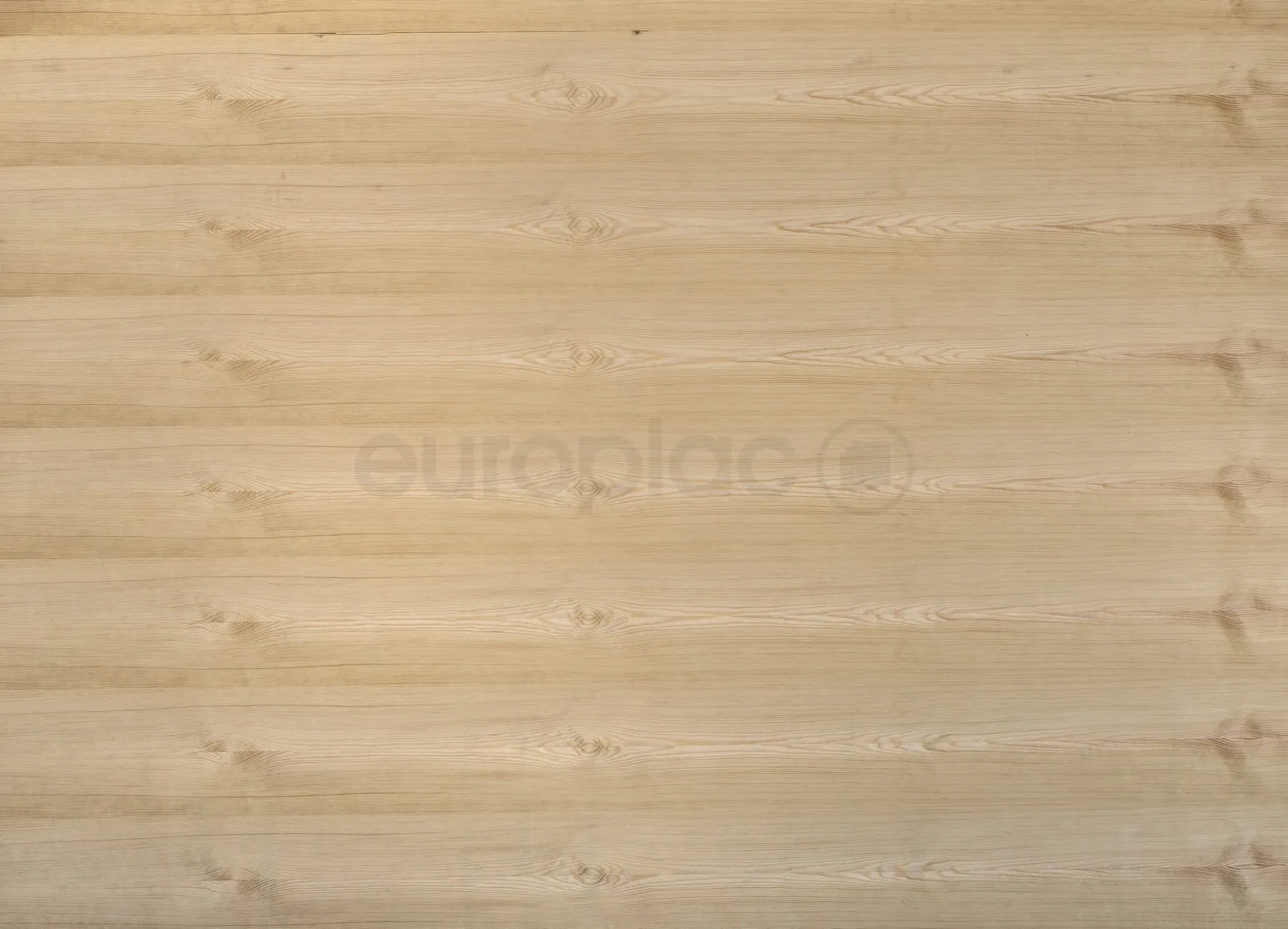 \\IKS-3450982346\Artikelbilder\Europlac\Kiefer KIE2 (431).jpg