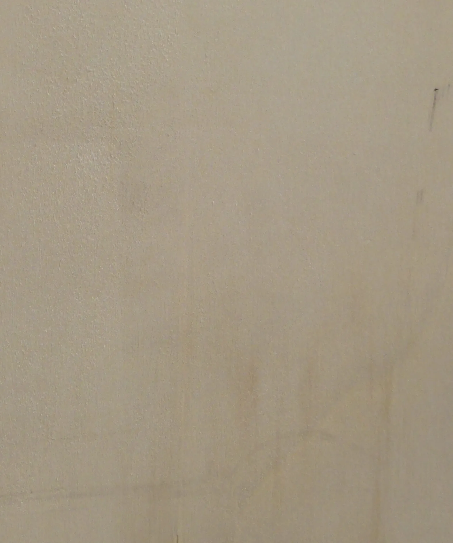 \\IKS-3450982346\Artikelbilder\Selbstgemachte Fotos\Plattenwerkstoffe\pappelsper.JPG