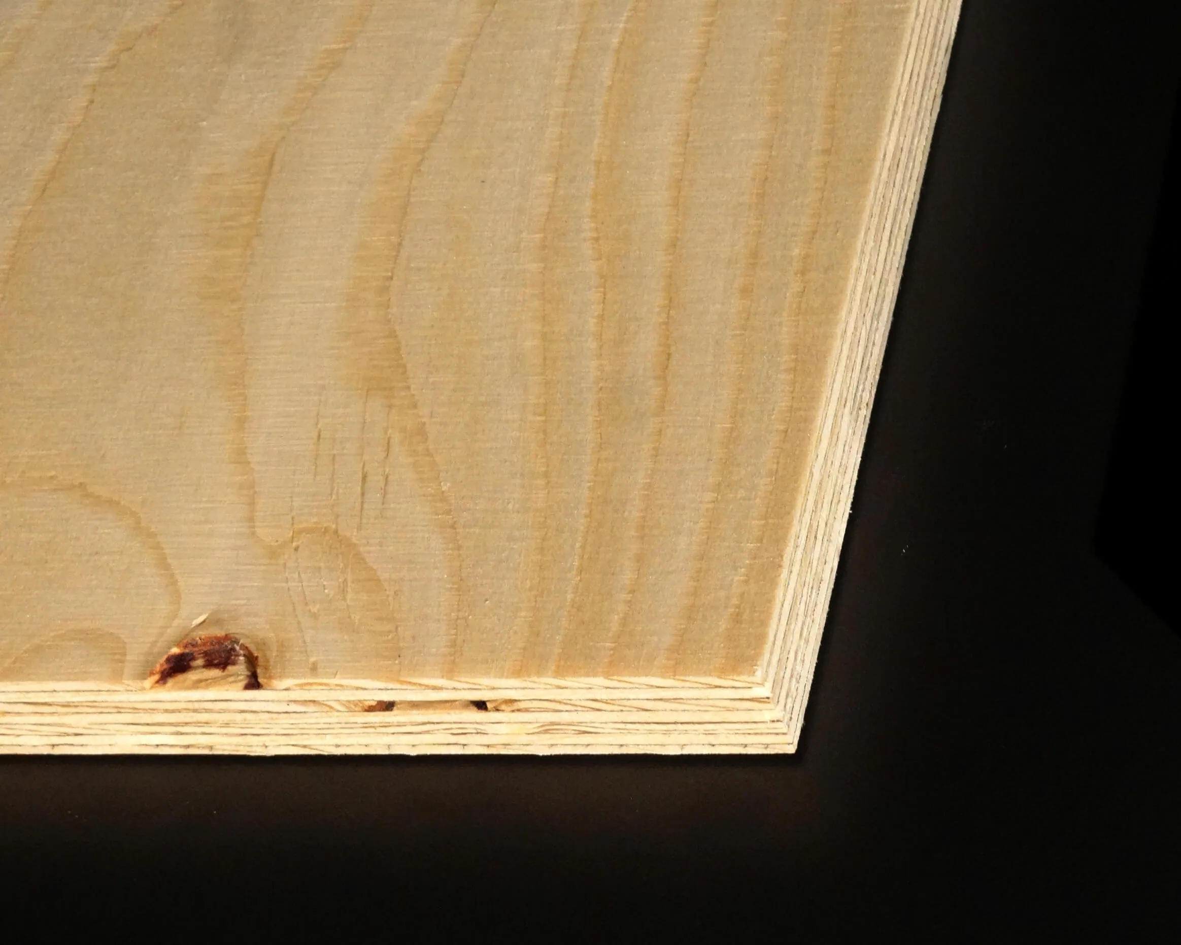 \\IKS-3450982346\Artikelbilder\Selbstgemachte Fotos\Plattenwerkstoffe\wisa spruce (4).JPG