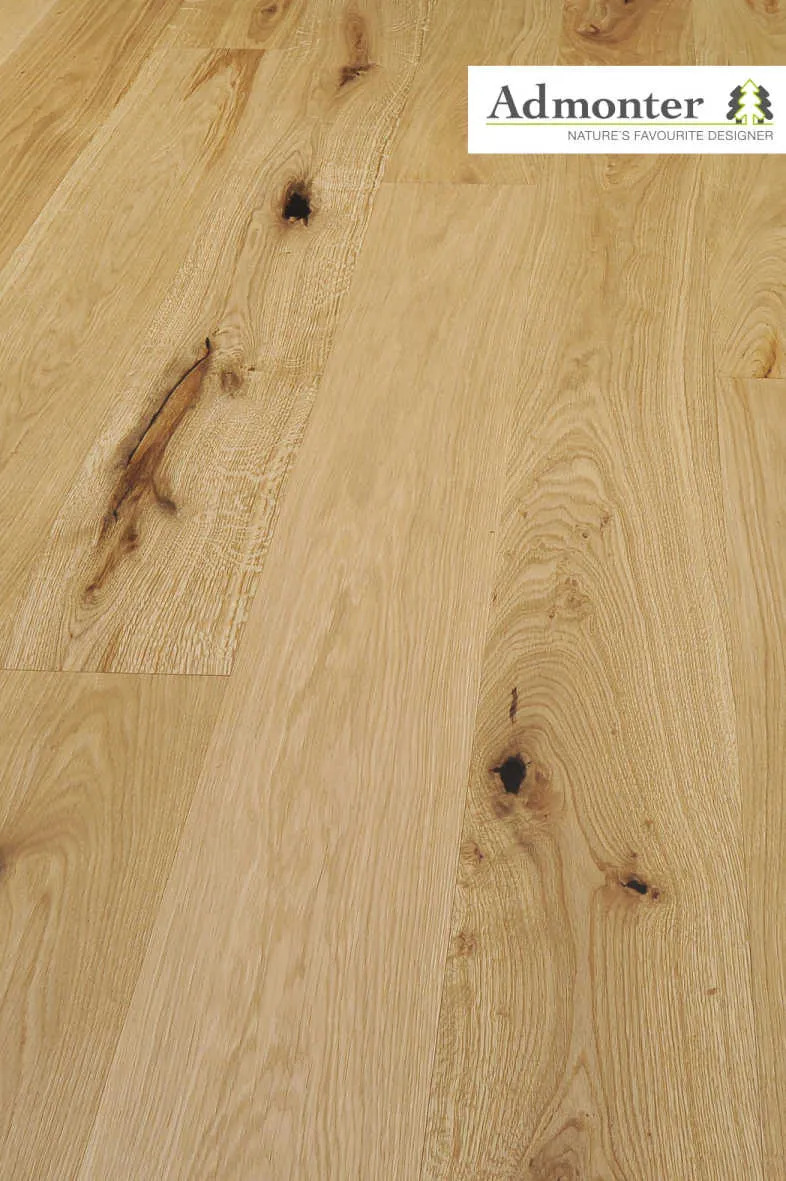 \\IKS-3450982346\Artikelbilder\admonter\Admonter Bildmaterial f&uuml;r Luhmann\Admonter Bildmaterial f&uuml;r Luhmann\k2 kari.jpg