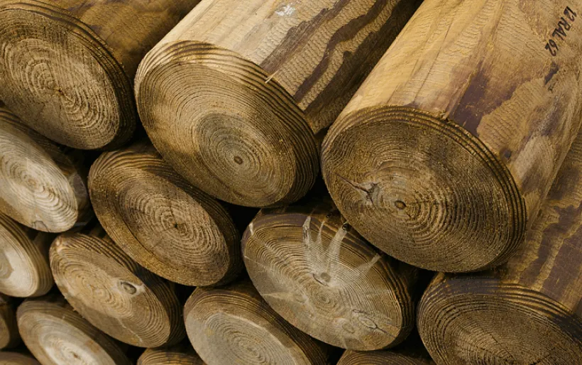 Palisaden KD 12 cm 1,25 m