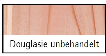 Solling T&uuml;r Vollrahmen DGL roh 100x100cm