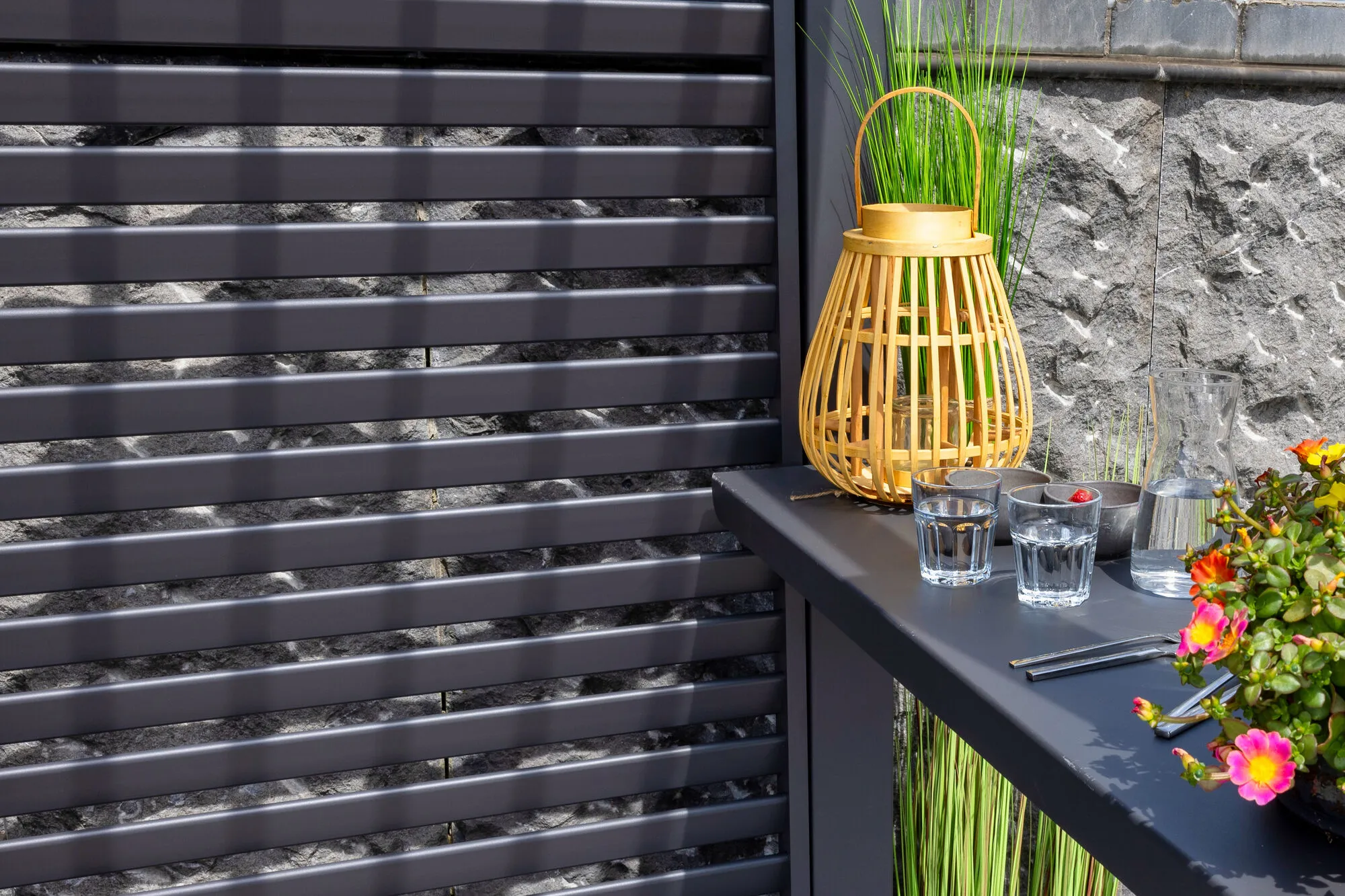BBQ-Pergola R&uuml;ckwand 232x5,5x230cm